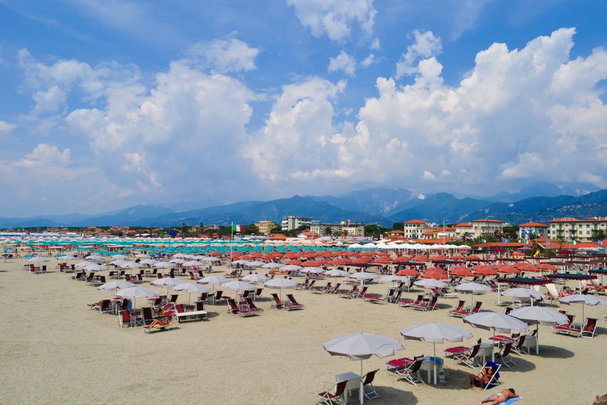 Villa Clara Few Km From The Sea - Happy Rentals Pietrasanta Dış mekan fotoğraf